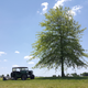 Illustration for article titled A Tiny Farm Jeep Gathering In Rural Ohio Was The Greatest Car Show I've Ever Attended